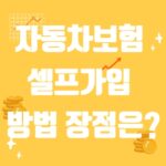 자동차보험 셀프가입 방법 장점은?