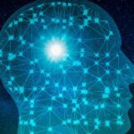 AI 시대 일자리 대책? 지금 주목받는 '기본소득'의 모든 것